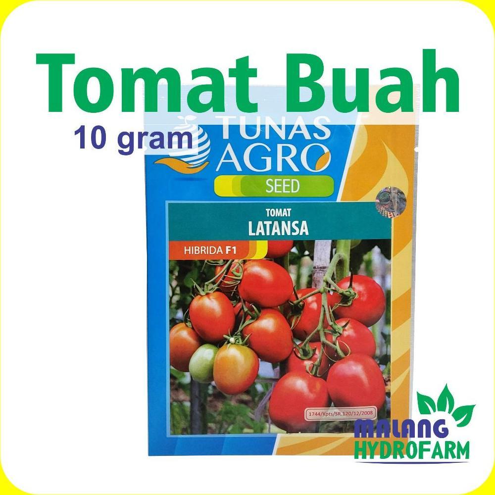 Benih Tomat Buah Latansa F1 10 gram Tunas Agro dataran tinggi bibit biji sayur lathansa jus merah se