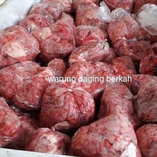 Bigwood- Otak Sapi Segar