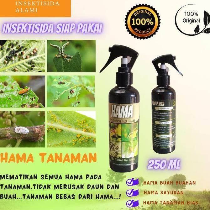 Lansungkirim- Obat Hama Tanaman || Insektisida Tanaman