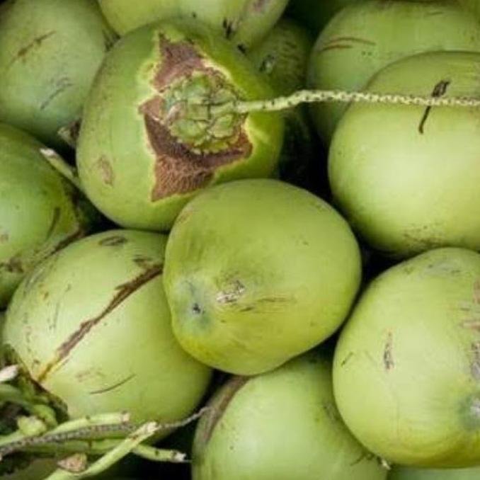 Frutexz- Daging Kelapa Muda Beku Frozen