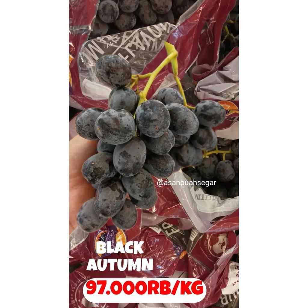 Frutexz- Buah Anggur Hitam Black Autum Royal Tanpa Biji Item Manis