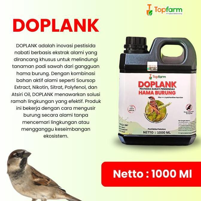 Lansungkirim- Doplank - Pestisida Nabati Pengendali Burung Padi Sawah / Obat Burung Padi Sawah / Oba