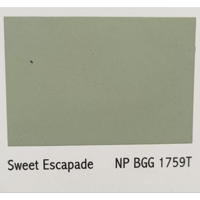 Cat Tembok Avitex Wizz 5 Kg