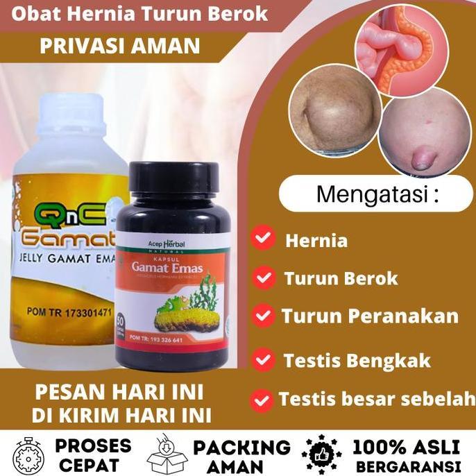 Feminin- Qnc Jelly Gamat Emas Untuk Hernia Turun Berok Pria, Turun Berok Dewasa Alami Sudah Bpom Isi