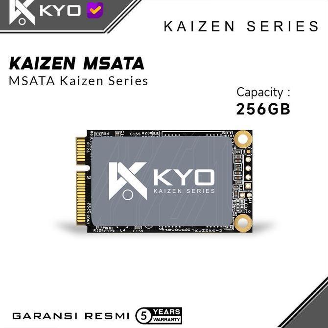 Saveyou- Ssd Kyo Kaizen Msata 256Gb Ssd M.Sata