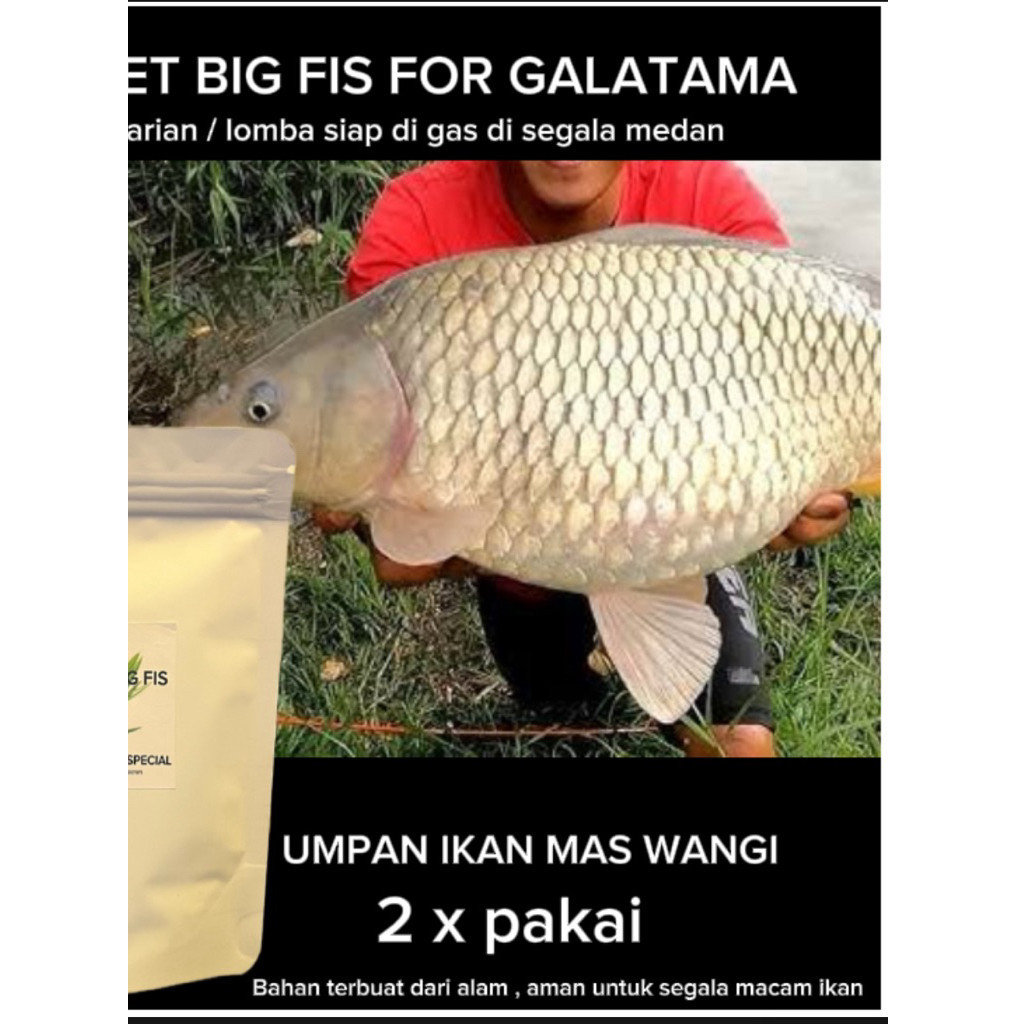 TERLARIS (COD) Umpan ikan mas umpan TARGET BIG FISH umpan wangi