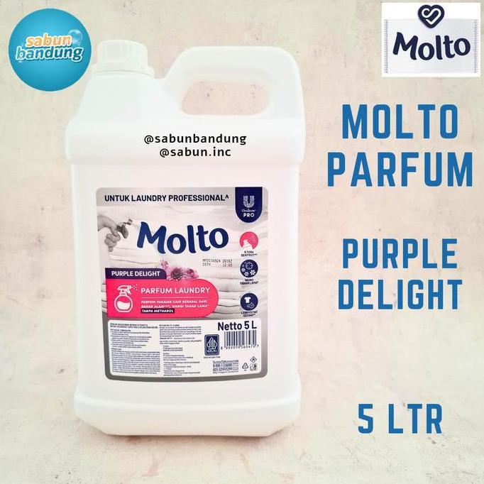 MOLTO Parfum Laundry Wangi