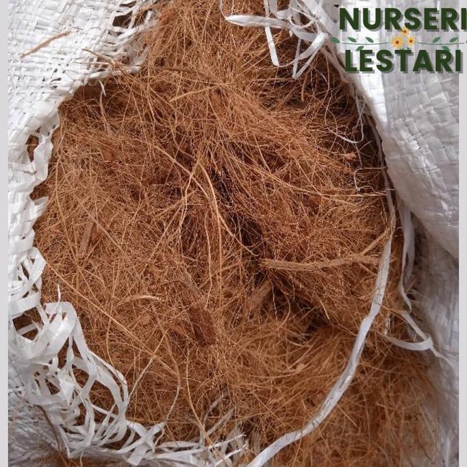 Coco Fiber Cocofiber Sabut Kelapa Karung Besar