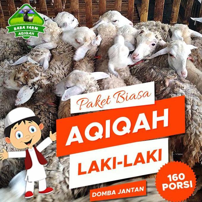 Terlaris Aqiqah Paket Biasa D Laki-Laki (Domba Jantan)