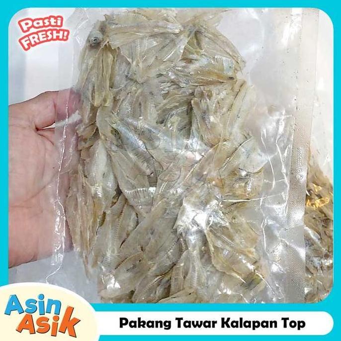 Ikan Asin Pakang Pakkang Tawar Kalapan Top Premium Kualitas Super Segar Fresh
