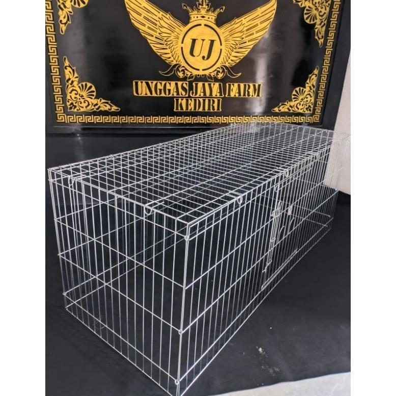 -HSR- KURUNGAN  UMBARAN AYAM JAGO BANGKOK