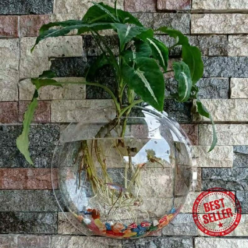 Aquarium Dinding 20cm Bulat Besar / Vas Bunga Tanaman Hias