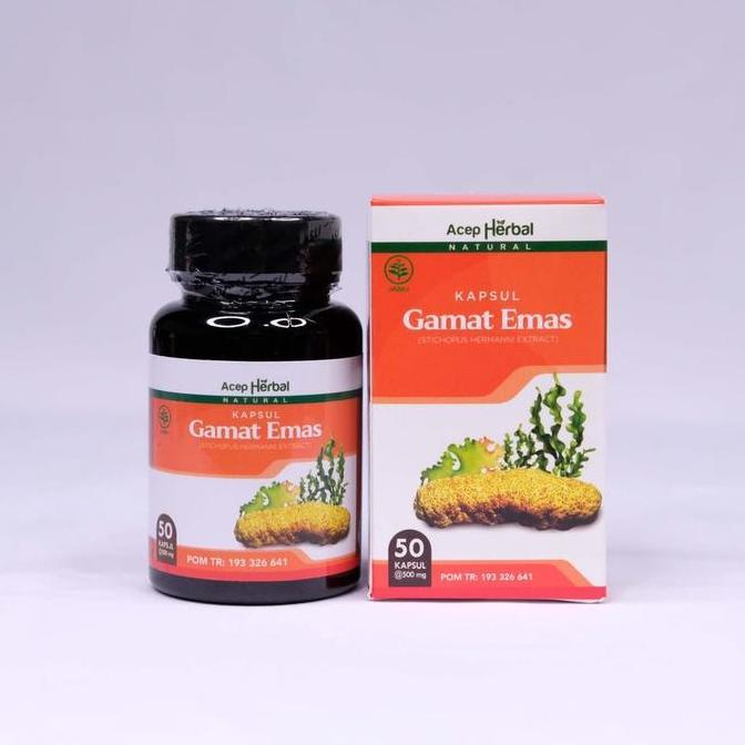 Sehatterusya- Kapsul Gamat Emas - Ekstrak Teripang Emas