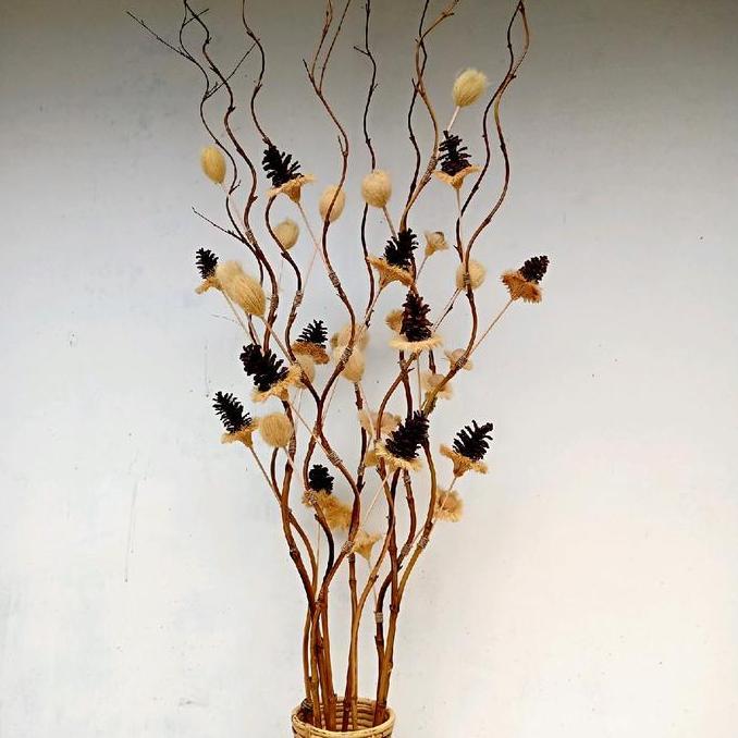 Termurah 5 Bambu ulir cendani BUNGA JAMBE rustic Hiasan home deco bunga kering