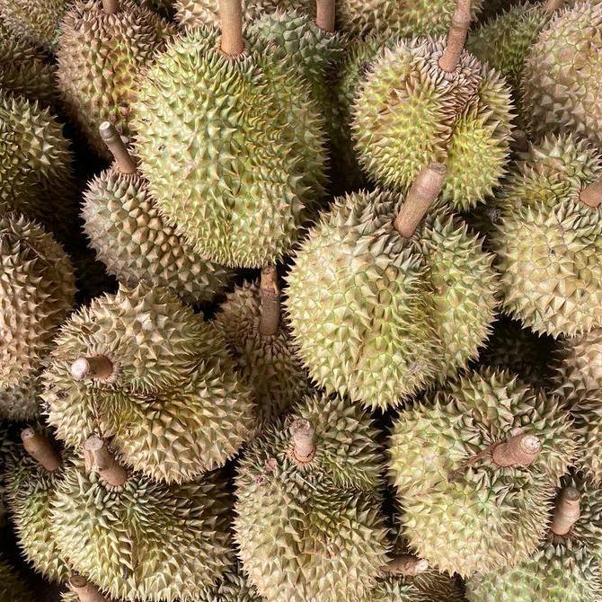 Frutiforti- Durian Montong Palu Parigi Utuhan/Butiran