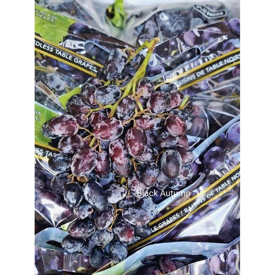 Frutiforti- Buah Anggur Hitam Black Autum Royal Tanpa Biji Item Manis