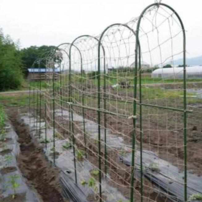 Allthebest- Ajir lengkung 11x150cm