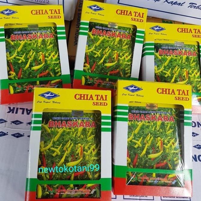 Allthebest- benih cabe rawit putih hibrida BHASKARA F1 10 gram cabai kapal terbang