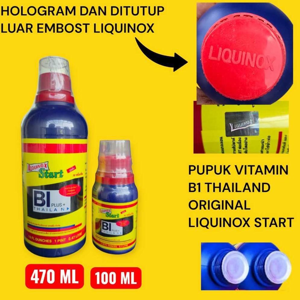 Pupuk Vitamin B1 Thailand Import Liquinox Start