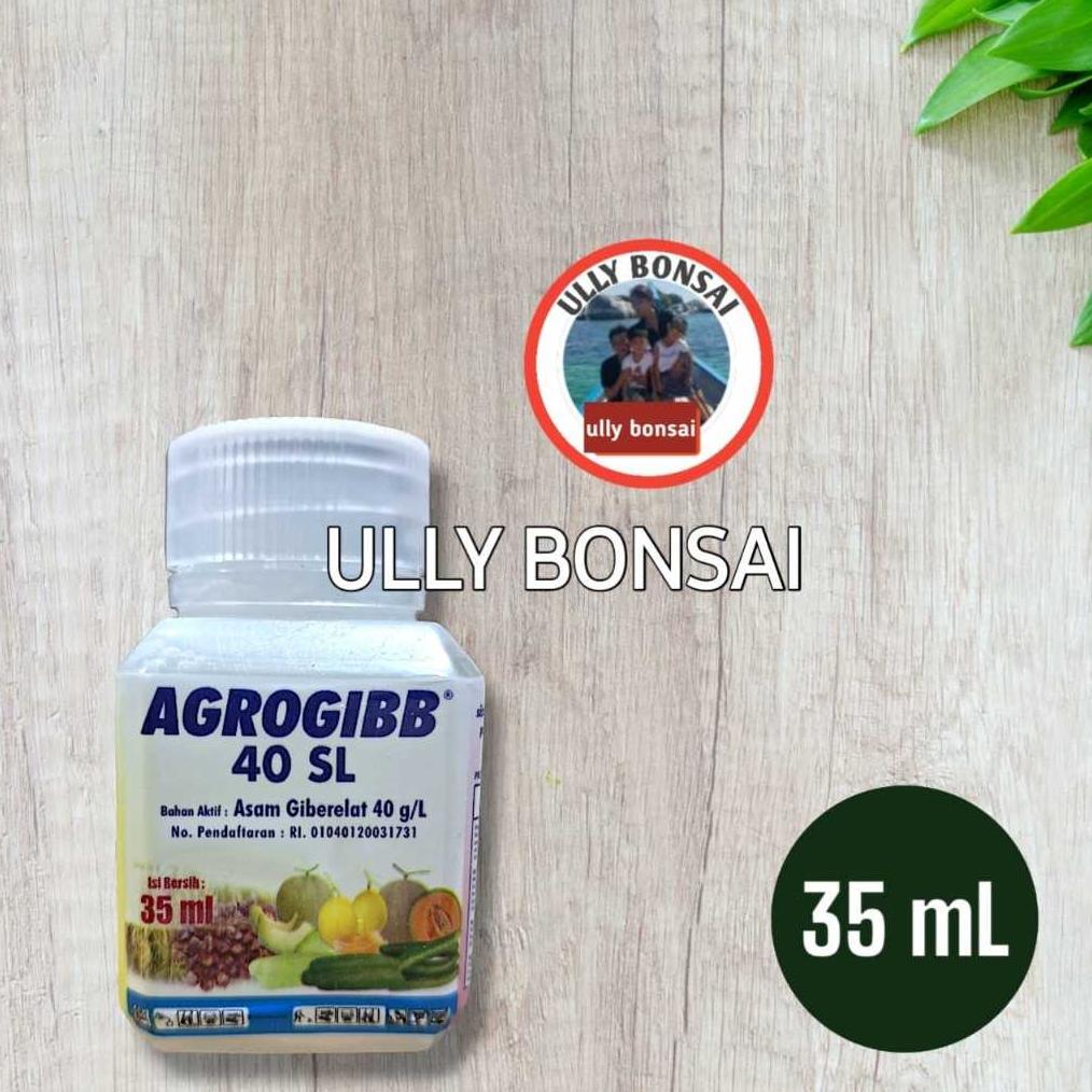 Pupuk Agrogibb 40 SL Pembesar Segala Macam Buah Dan Sayur 35ml
