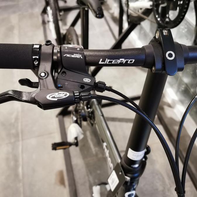 FOLDING BIKE fnhon blast 18s disc brake