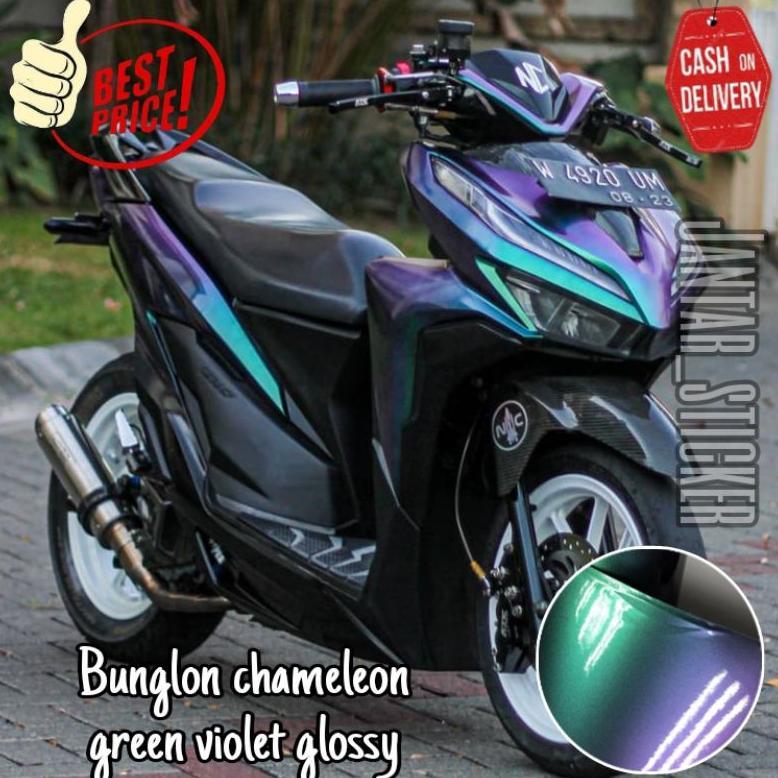 OFFICIAL Stiker skotlet bunglon chameleon aurora sticker scotlite bunglon scotlet motor sticker skot