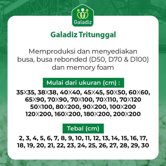 Impian- Busa Rebonded / Bantal Duduk / Alas Duduk Lesehan 60 X 60