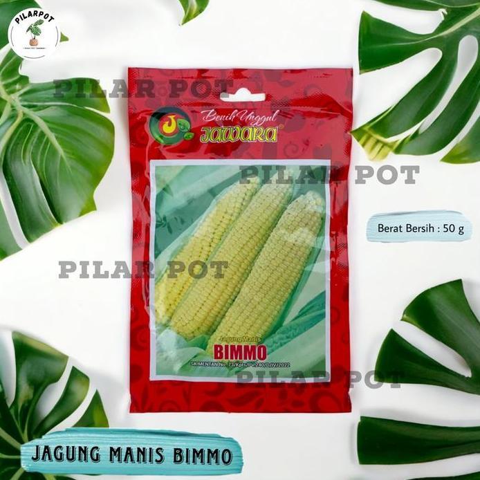 Benih Bibit Jagung Manis Bimmo Benih Unggul Jawara - JAGUNG BIMMO