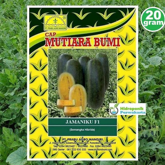 Benih Semangka Daging Kuning JAMANIKU F1 20 Gr Tipe Inul Mutiara Bumi