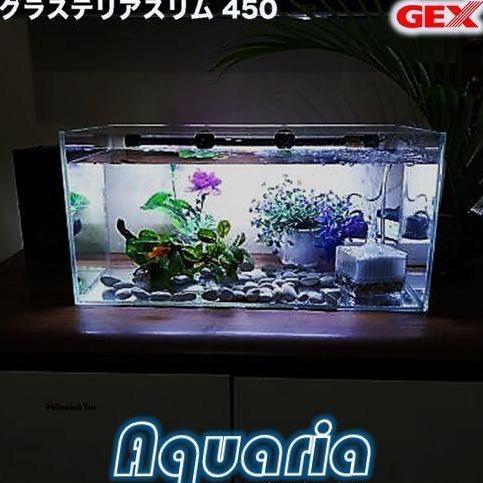 GEX Glassterior Slim 450 Aquarium