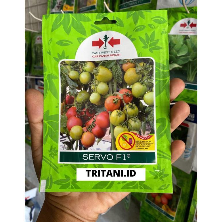 Benih Tomat Servo f1 Panah Merah  isi 150 biji