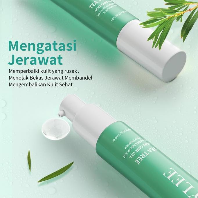 Skinwill- Breylee Acne Scar Removal Gel - Wajah Bekas Jerawat (30Gr)