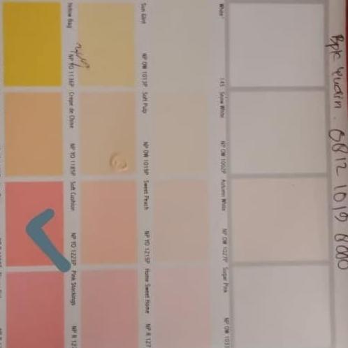 Nippon Elastex / Nippon Elastex Tinting Galon / Elastex Just Divine