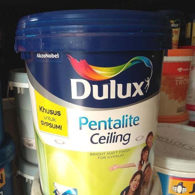 Cat Dulux pentalite Ceiling 25kg
