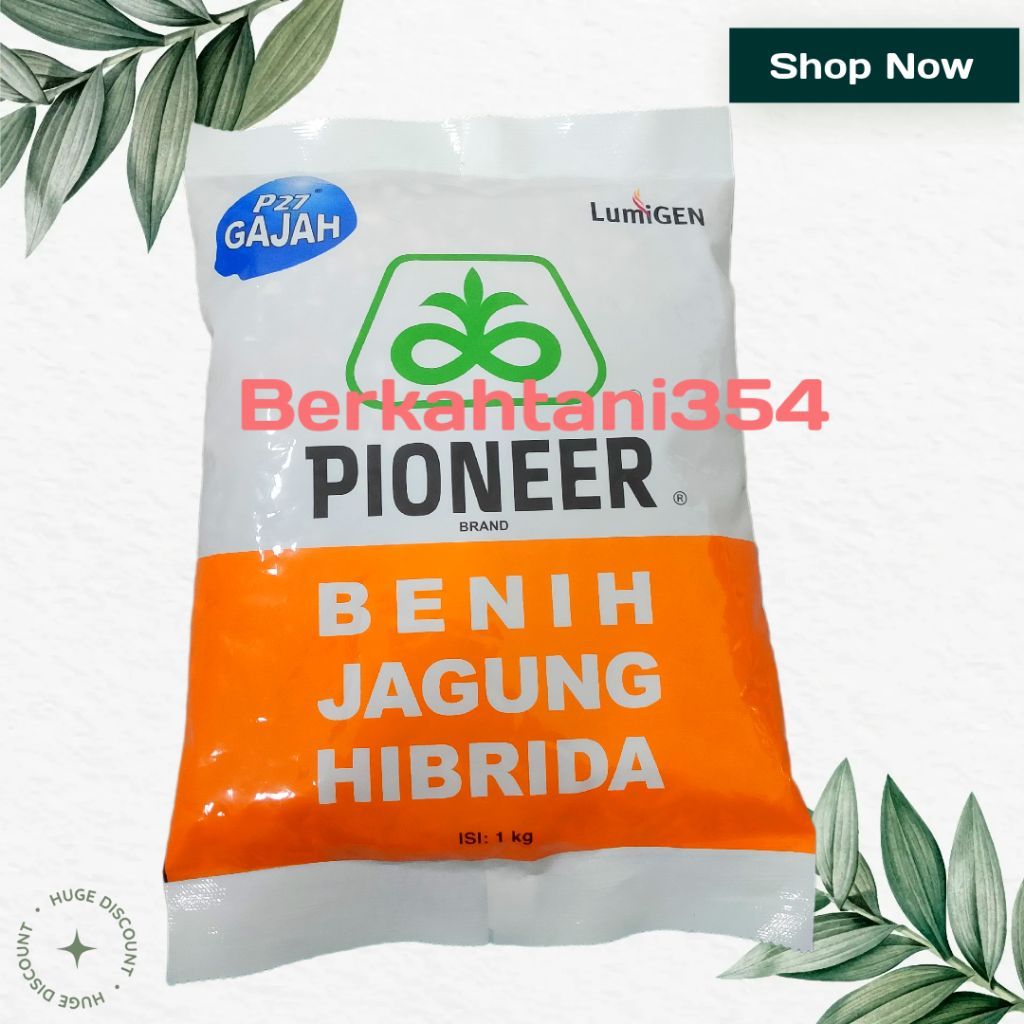 Benih jagung p27 lumigen 1kg pioner 27 lumigen benih jagung pioner 27 lumigen kemasan 1kg