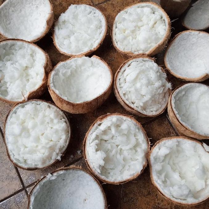 Frutting- Kelapa Kopyor Frozen 250 Gram