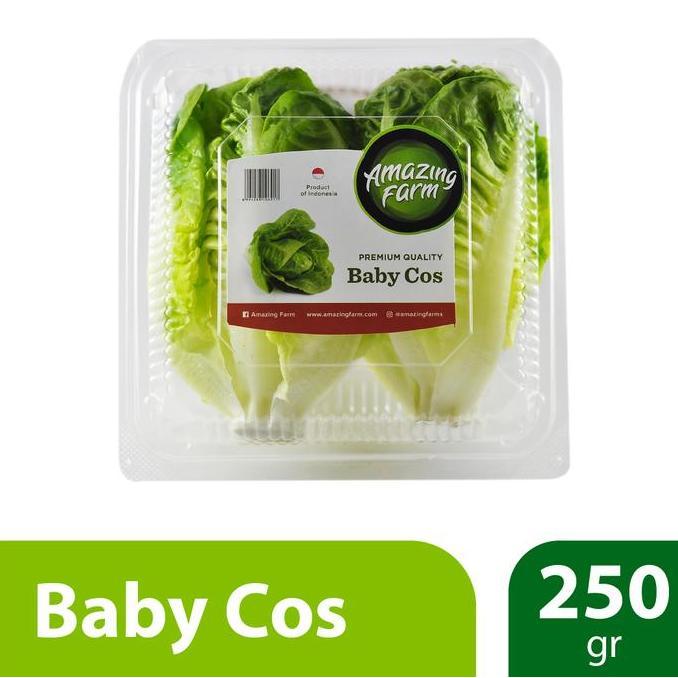 Naturalbig- Baby Romaine Cos Lettuce 250 Gram Amazing Farm