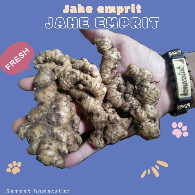 Naturalbig- Jahe Emprit 1Kg - Jahe Emprit Jawa Segar