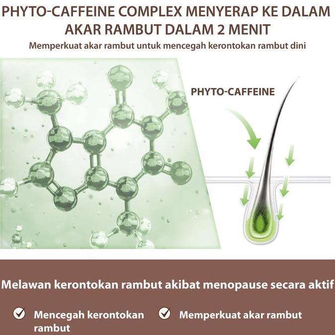 Indoc- Paket Plantur 39 Brown Kit - Brown Shampoo + Brown Conditioner