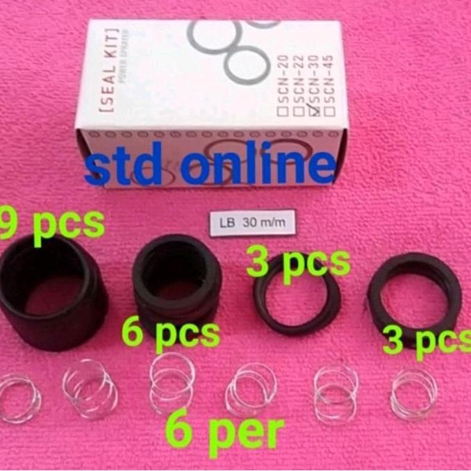 Autopic- Sc30 Seal Kit Assy Seal Pompa Steam Cuci Motor Sancin 30