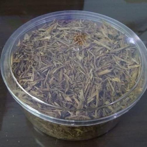 chip kayu gaharu kalimantan 100gram