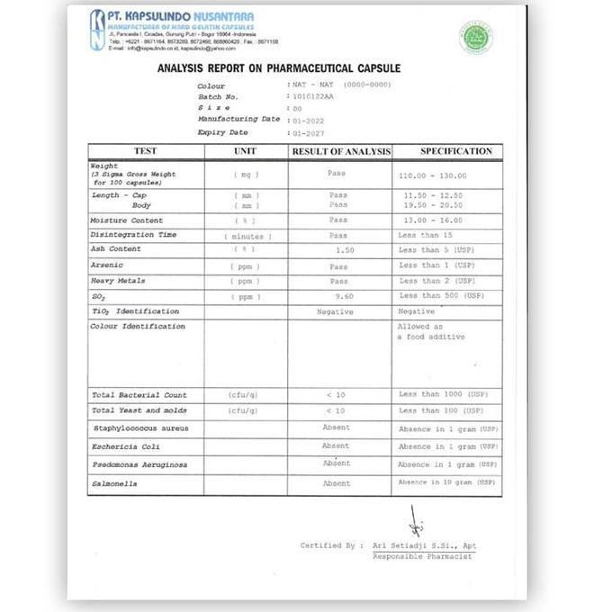 Pastisehat- Ginkgo Biloba Kapsul Curah Herbal Daya Ingat Fokus Otak Anti Aging Alami Stamina Tubuh