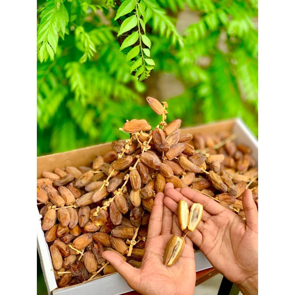Kurma Tunis Tangkai Original | Tunisia Kurma Bertangkai Palmfrutt | Kemasan 5Kg