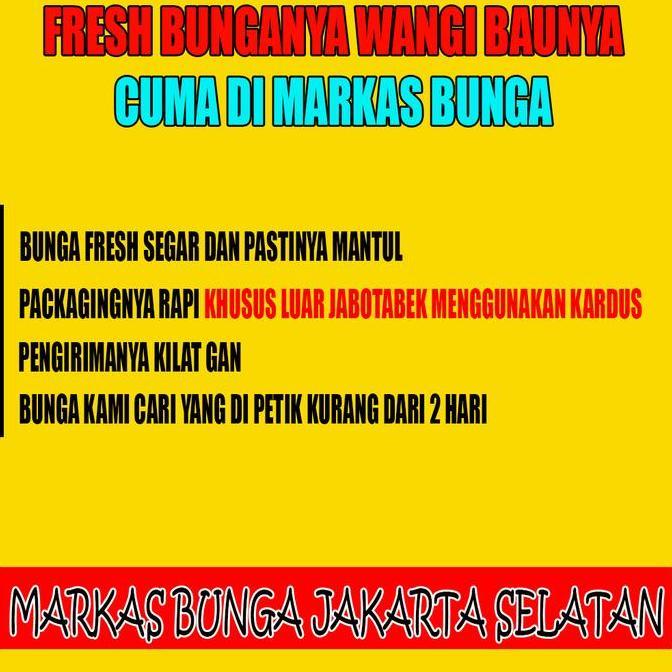 Lansungkirim- Bunga Kantil Kuning Atau Cempaka Kuning/Bunga Kantil Putih