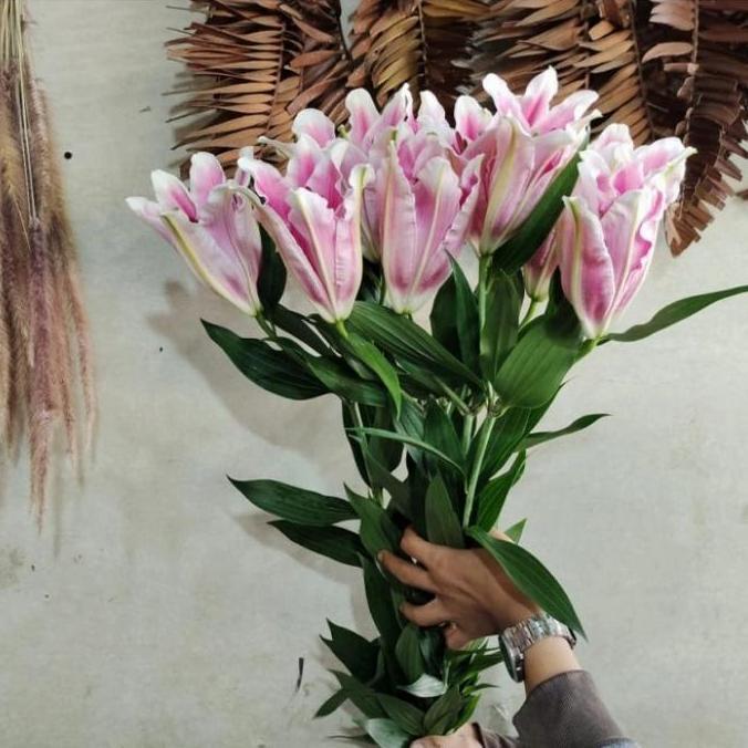 Lansungkirim- Bunga Lily Casablanca