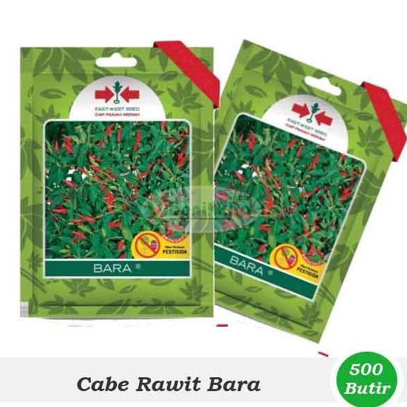Benih-Bibit Cabe Rawit Bara (Cap Panah Merah) Terlaris