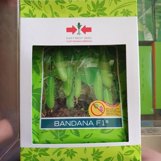 Benih Timun Bandana F1 800 butir / Bibit Mentimun Bandana F1 800 butir