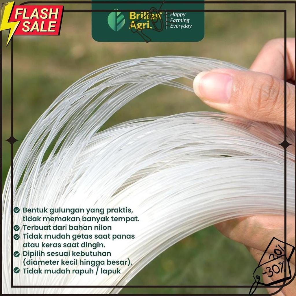 Brilian - Senar Cap Ikan Kakap Ukuran 6000 Per Roll /Tali Senar Pancing / Senar Layangan Meledak