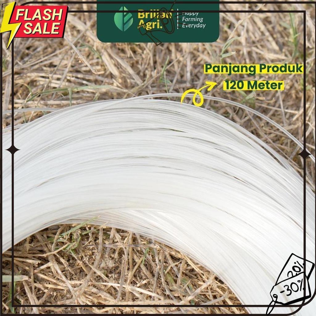 Brilian - Senar Cap Ikan Kakap Ukuran 3000 Per Roll /Tali Senar Pancing / Senar Layangan Meledak