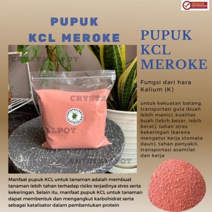 Grdx- Pupuk Kcl Meroke Mop Kemasan Repack 1 Kg - Kcl Meroke Mop Repack